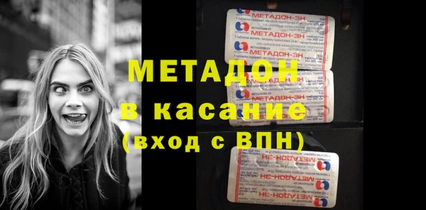 прущие грибы Магас