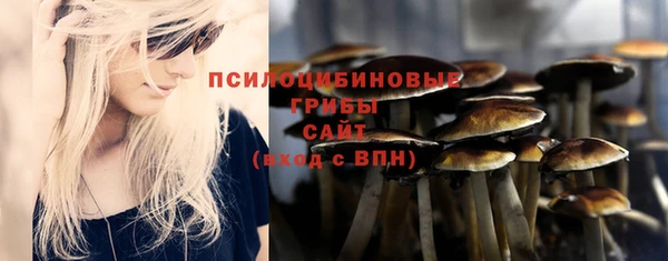 прущие грибы Магас