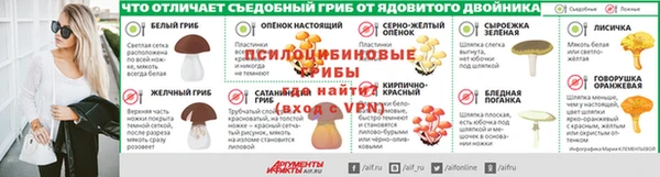 прущие грибы Магас