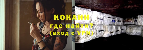 прущие грибы Магас