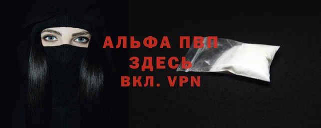 прущие грибы Магас