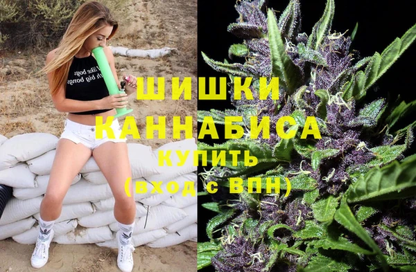 эйфоретик Майский